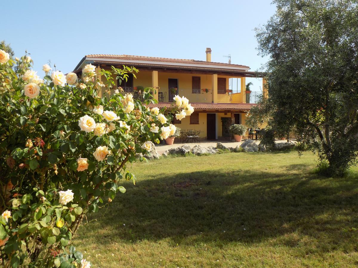 אלגהרו Villa Sorrentina מראה חיצוני תמונה