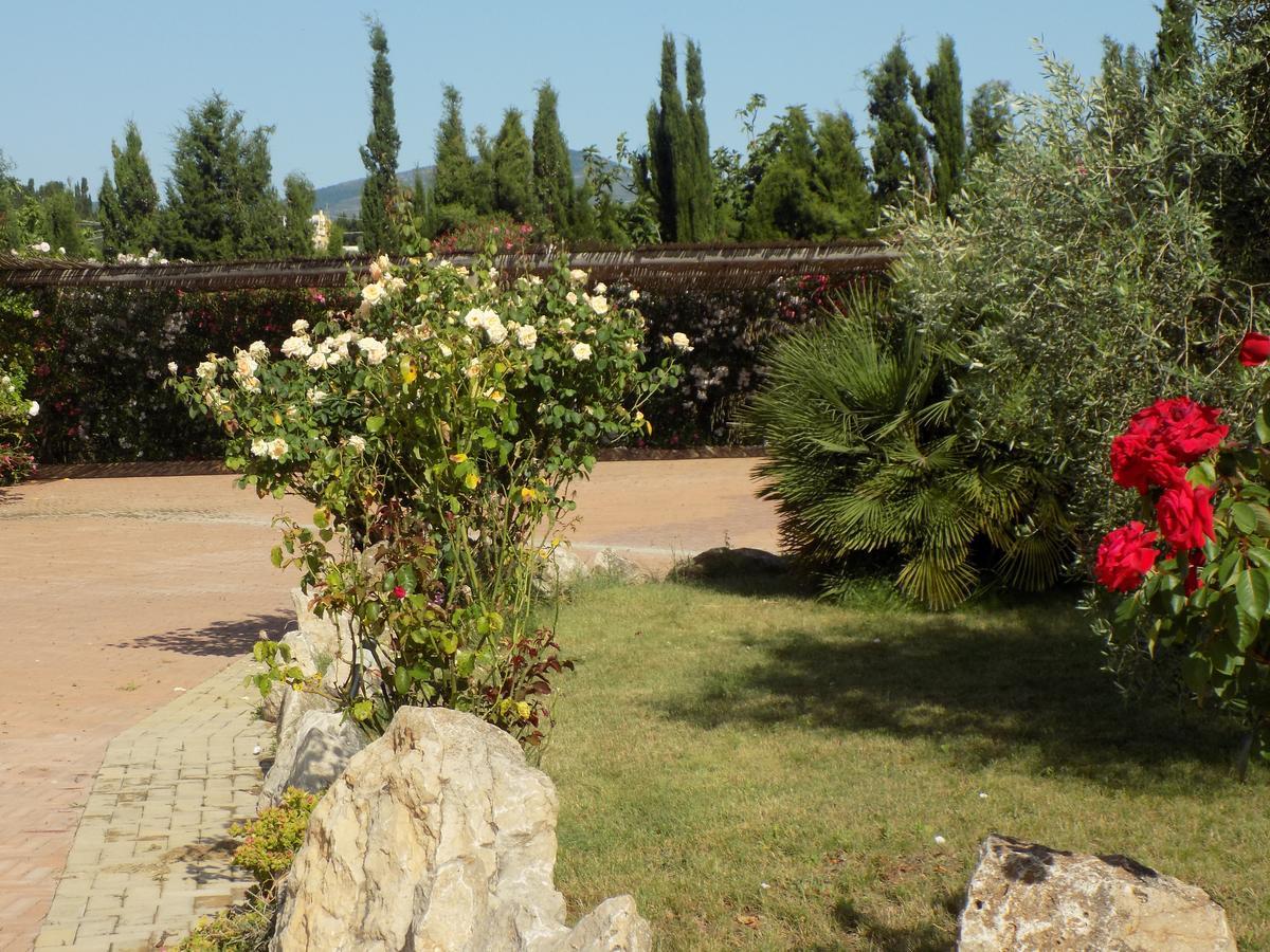 אלגהרו Villa Sorrentina מראה חיצוני תמונה