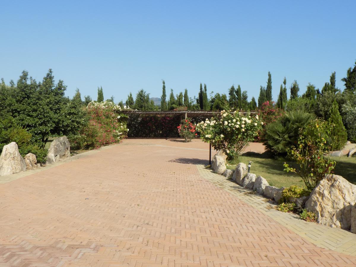אלגהרו Villa Sorrentina מראה חיצוני תמונה